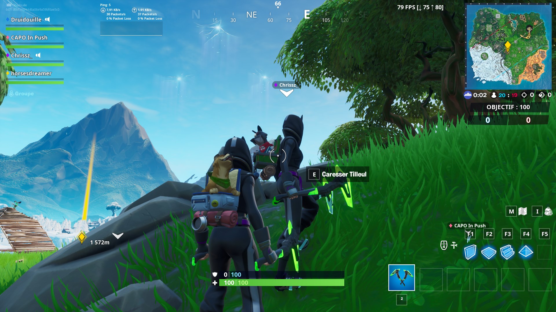 Fortnite：寵物隊友的同伴，團隊精神挑戰